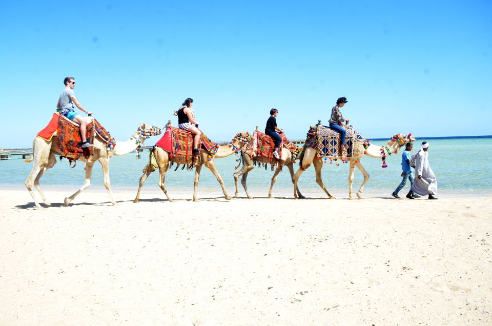 Hurghada: Sea & Desert Camel Ride w/Dinner, Show, Stargazing - On the camel: what 2 hours feels like (and how to make it easier)