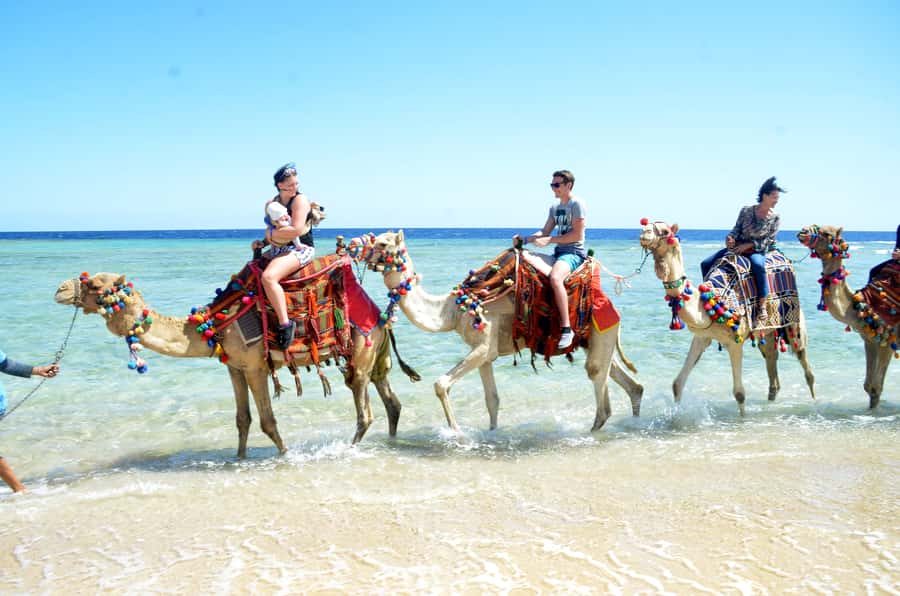 Hurghada: Sea & Desert Camel Ride w/Dinner, Show, Stargazing - Sunrise breakfast or sunset dinner: the food part and its value