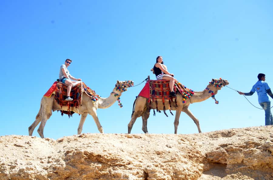 Hurghada: Sea & Desert Camel Ride w/Dinner, Show, Stargazing - Choosing your ride: 2 hours only, or sunset dinner + show + stargazing
