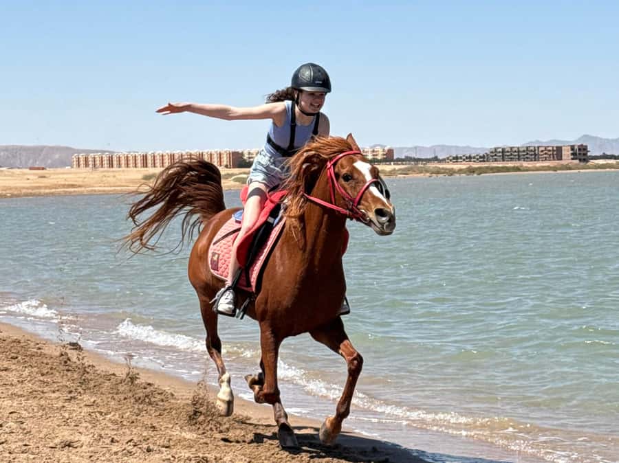 Hurghada: Sea & Desert Horse Riding tour/w Swimming&Transfer - Riding the desert and the Red Sea beach: why this combo works