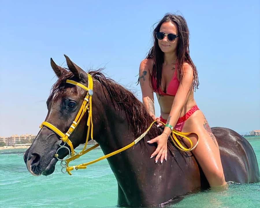 Hurghada: Sea & Desert Horse Riding tour/w Swimming&Transfer - From pickup to saddle: what your timeline actually feels like