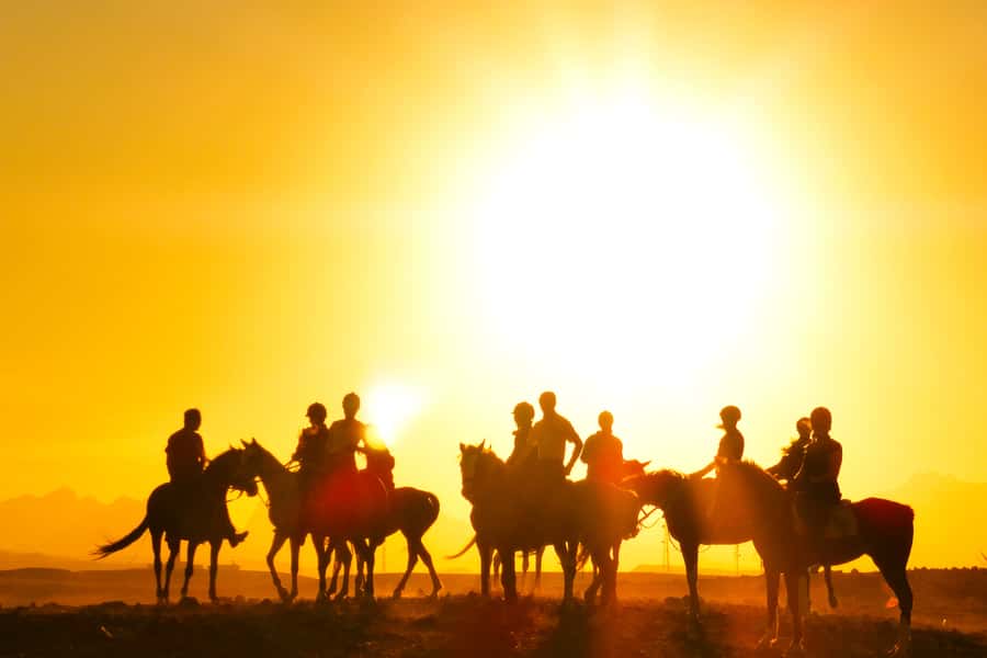 Hurghada: Sea & Desert Horse Tour, Stargazing, Dinner & Show - Who should book this (and who should skip it)