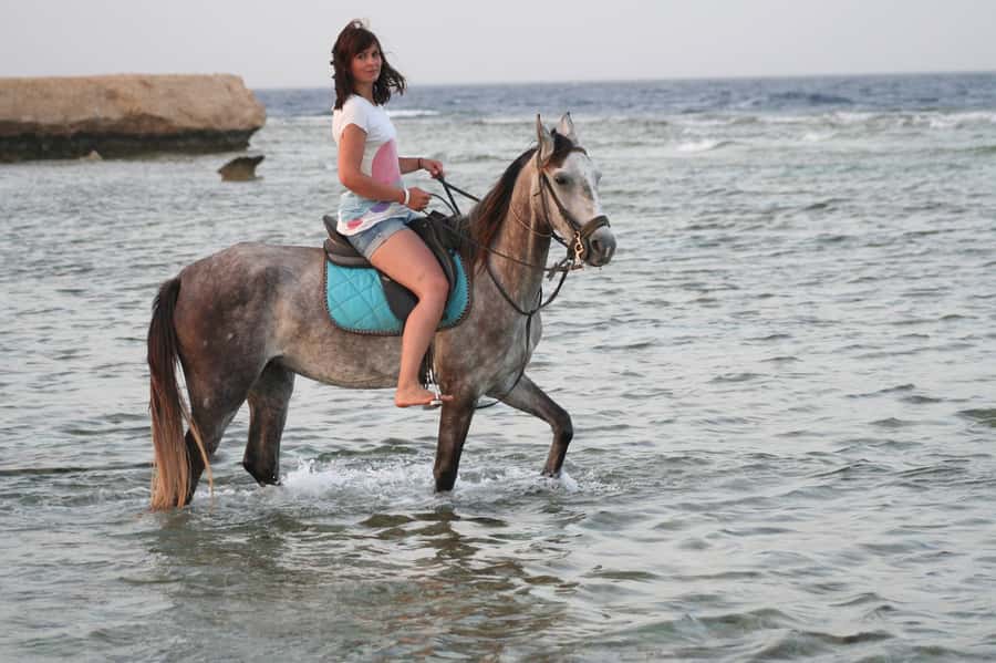 Hurghada: Sea & Desert Horse Tour, Stargazing, Dinner & Show - Desert-to-sea riding: the point of Hurghada’s horse route
