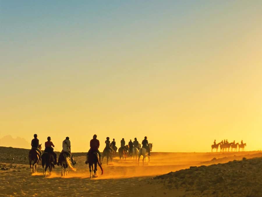 Hurghada: Sea & Desert Horse Tour, Stargazing, Dinner & Show - From check-in to saddle: helmets, a short test, and horse introductions