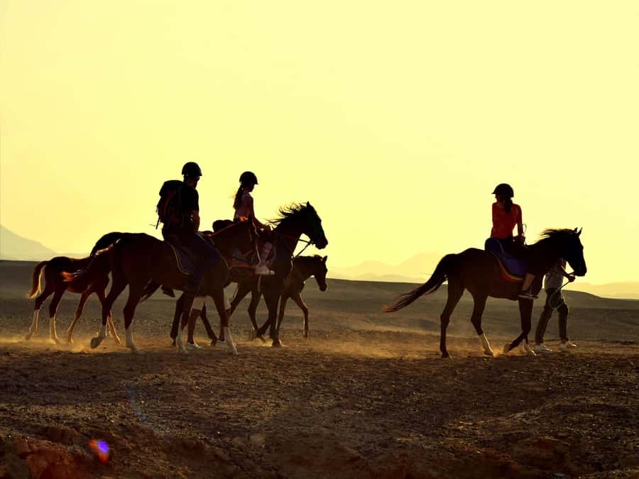 Hurghada: Sea & Desert Horse Tour, Stargazing, Dinner & Show - Pickup and meeting: how to keep the morning smooth
