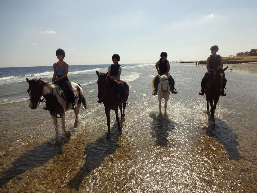 Hurghada: Sea & Desert Horse Tour, Stargazing, Dinner & Show - What to bring so the ride stays comfortable