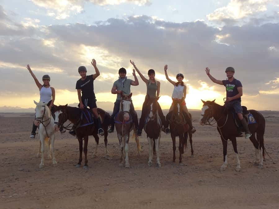 Hurghada: Sea & Desert Horse Tour, Stargazing, Dinner & Show - Choosing your timing: sunrise breakfast vs sunset dinner and stars