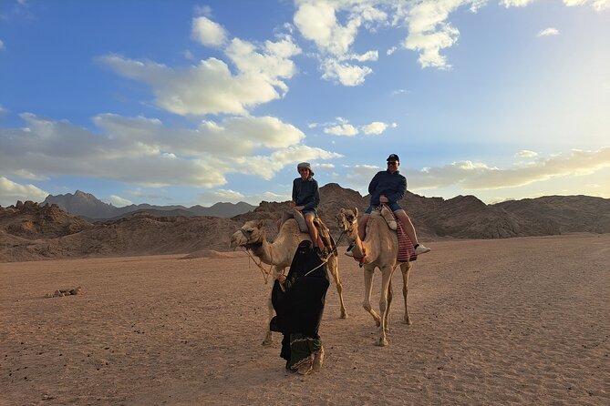 Hurghada SPACE OBSERVERS(Desert Stargazing) - Why Hurghada Desert Stargazing Feels Different Than a City Tour