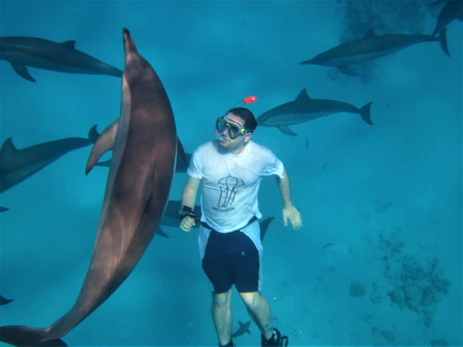 Hurghada: Speedboat Dolphin Watching & Snorkeling with Lunch - Snorkeling Stops on the Red Sea: Coral, Fish, and a Guide Who Helps