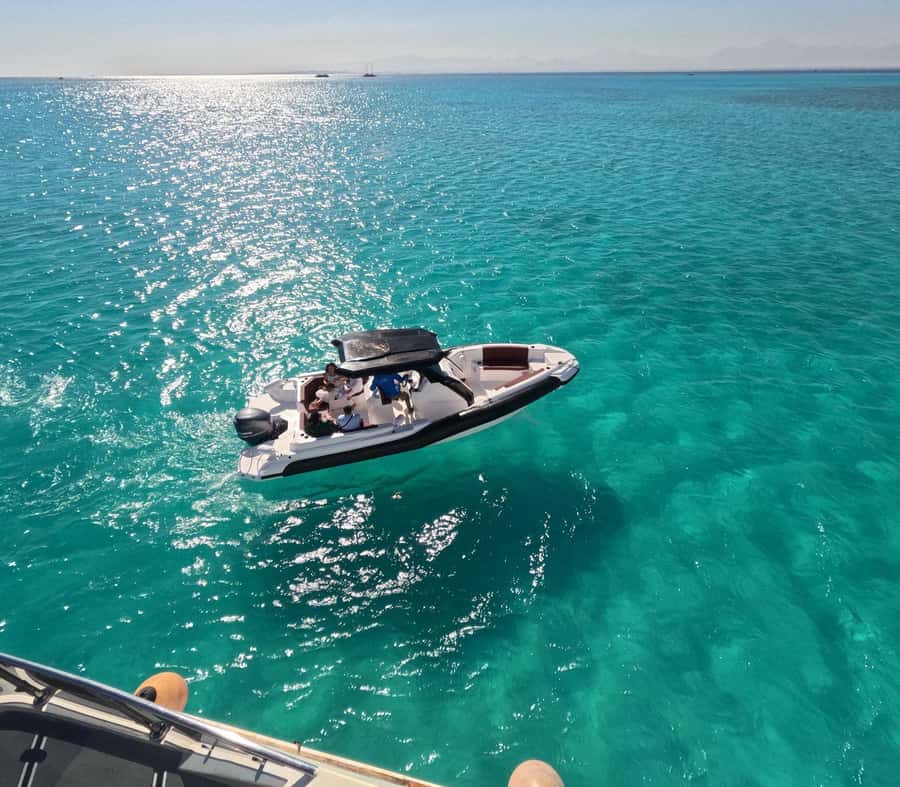 Hurghada: Speedboat Dolphin Watching & Snorkeling with Lunch - Dolphin Viewing vs Swimming: What You Can Really Hope For