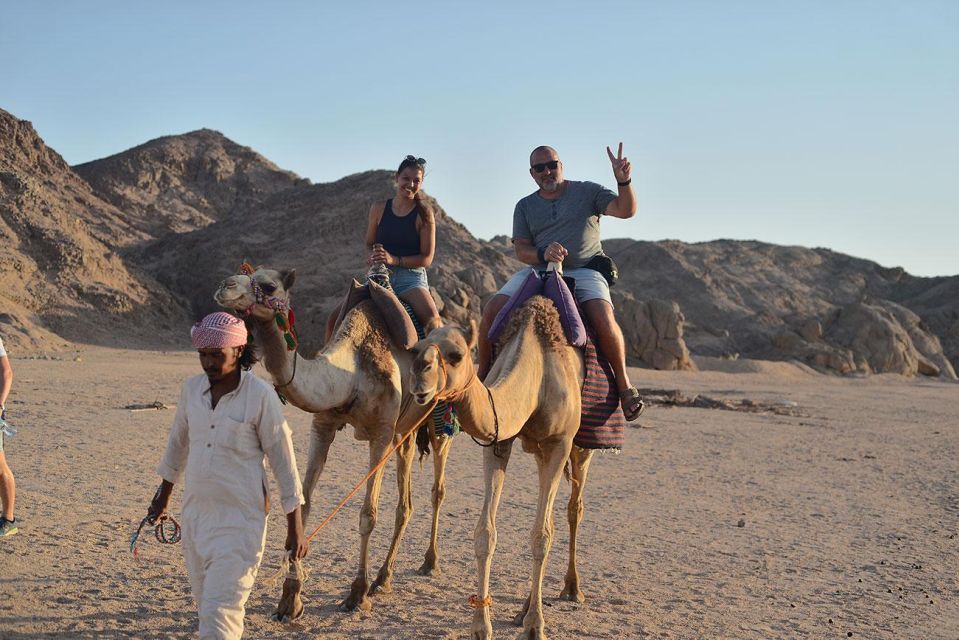 Hurghada: Star Watching Desert Adventure by Jeep with Dinner - Price and value: why this tour feels fair at about $36