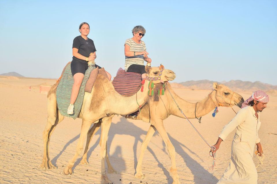 Hurghada: Star Watching Desert Adventure by Jeep with Dinner - Price and Value: Why This Tour Feels Like a Deal
