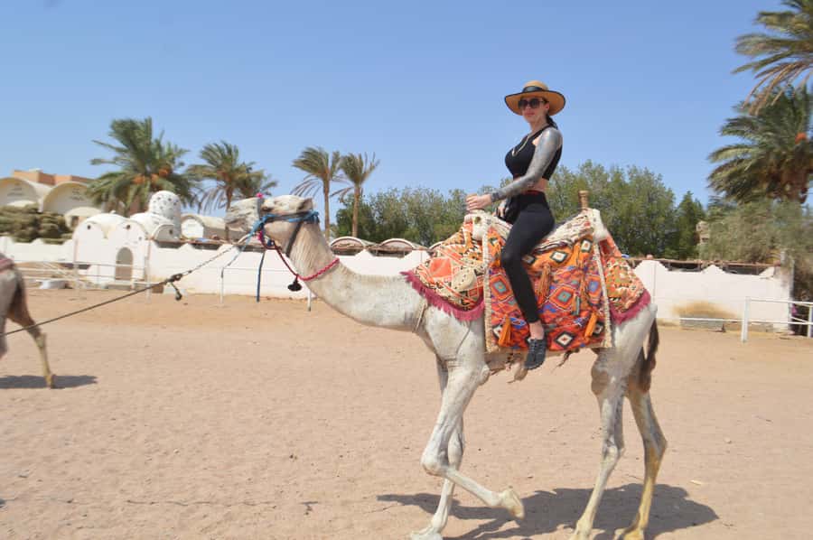 Hurghada: Sunset Quad Bike, Camel w/ Opt Stargazing and BBQ - Stargazing with telescopes: expect wonder, but not perfect astronomy
