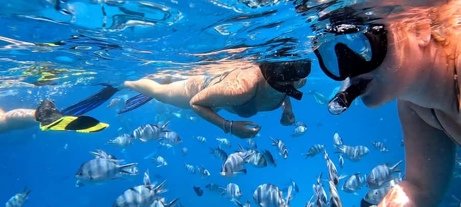 Hurghada: White Island Speedboat Tour, Snorkeling, & Lunch - Nemo Island (often called White Island day): beach time done right