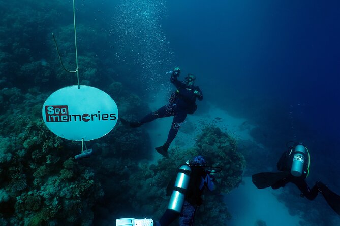 Intro Diving 2 Stops For Beginners with Pick-up and Lunch - Hurghada - Getting to the boat: what the 8:00 start means for your day