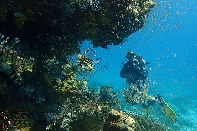 Intro Diving 2 Stops For Beginners with Pick-up and Lunch - Hurghada - Two underwater sessions in the Red Sea: making 15 minutes count