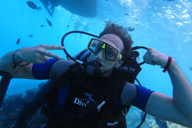 Intro Diving 2 Stops For Beginners with Pick-up and Lunch - Hurghada - What you’ll see: coral gardens and lots of fish