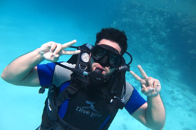 Intro Diving 2 Stops For Beginners with Pick-up and Lunch - Hurghada - Gear fitting and “first time” skills: how they keep you calm