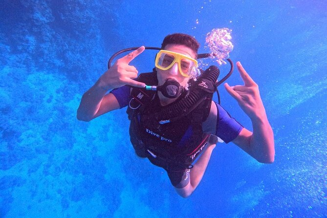 Intro Diving Beginner and Discover Red Sea Underwater - Price and Logistics: The Value Check You Should Do