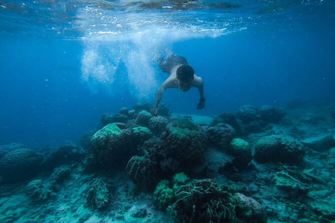 Luxury Cruise inc. Snorkeling/Massage/Island/water sport & Lunch - Giftun Islands and Orange Bay: where the photos actually happen