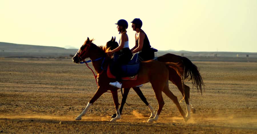 Marsa Alam: Sea and Desert Horse Riding Tour - Key things I’d plan around
