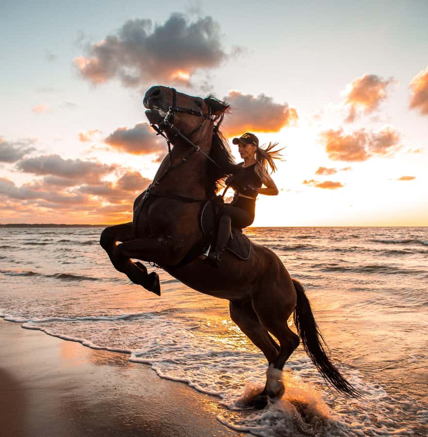 Marsa Alam: Sea and Desert Horse Riding Tour - Why Marsa Alam Horse Riding Feels Different Than a Beach Day