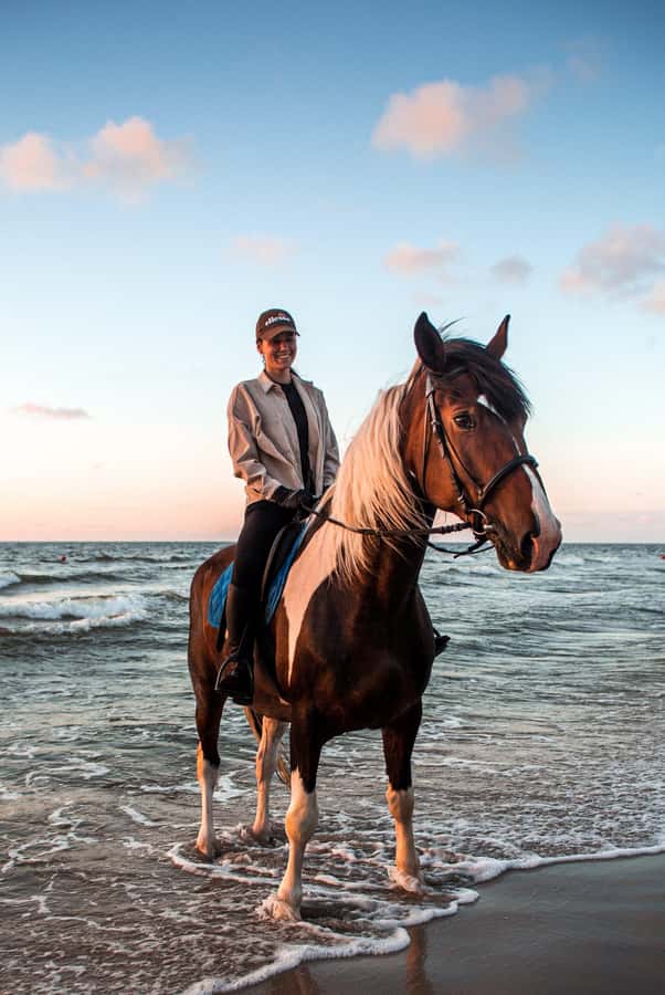 Marsa Alam: Sea and Desert Horse Riding Tour - Getting Oriented at the Stables (and Why It Matters)