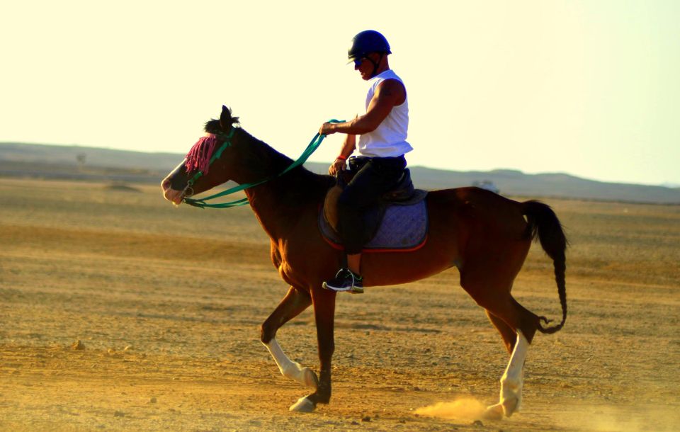 Marsa Alam: Sea and Desert Horse Riding Tour - VIP 4 Hours and the Sea Swim With Your Horse