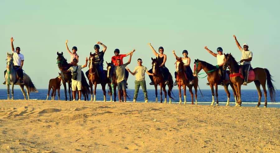 Marsa Alam: Sea and Desert Horse Riding Tour - What to Bring (and What You’ll Be Glad You Didn’t Forget)