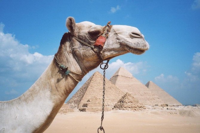 Private Tour: Giza Pyramids, Sphinx, Memphis, Sakkara - Price and timing: is $165.30 a good deal?