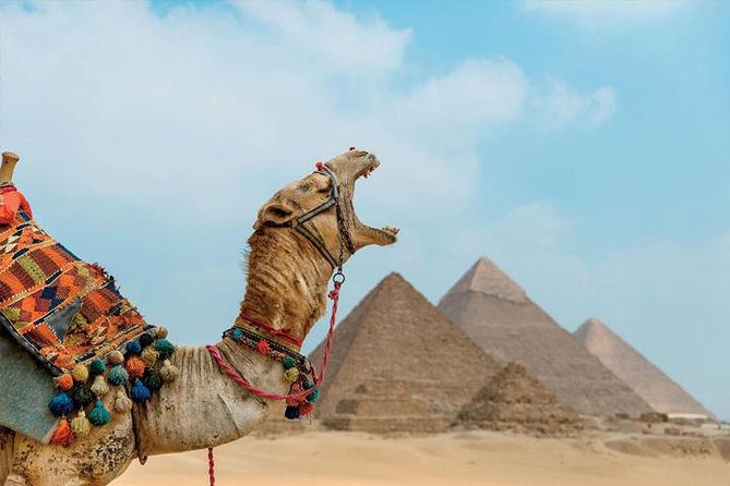 Private ViP all-inclusive Giza Pyramids,Sphinx,Inside Pyramid - Stop 6: Great Sphinx + Valley Temple, then VIP lunch
