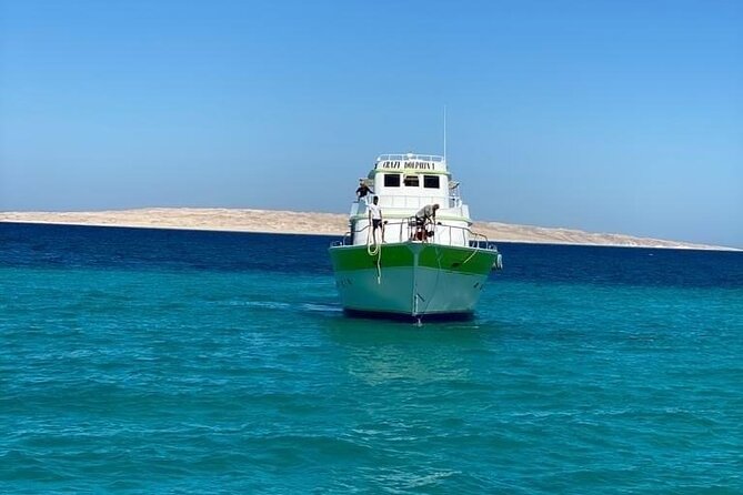 Red Sea Diving Trip from Hurghada: Beginner to Advanced Divers - A 7-hour Red Sea reef day from Hurghada
