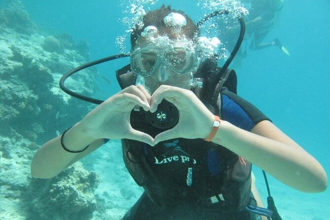 Red Sea Diving Trip from Hurghada: Beginner to Advanced Divers - From pickup to boat: what your morning flow looks like