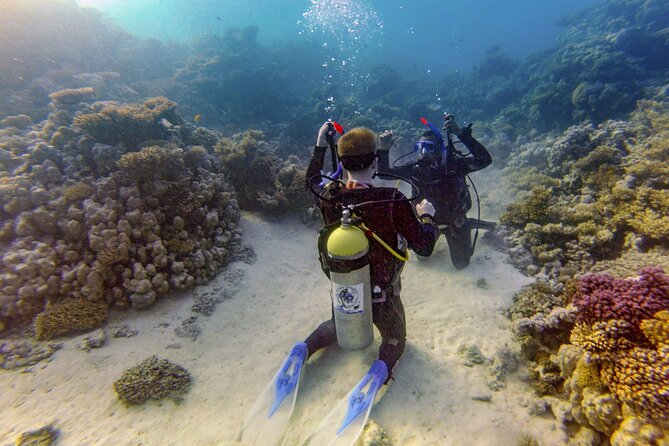 Red Sea Diving Trip from Hurghada: Beginner to Advanced Divers - Price and the extras you should budget for