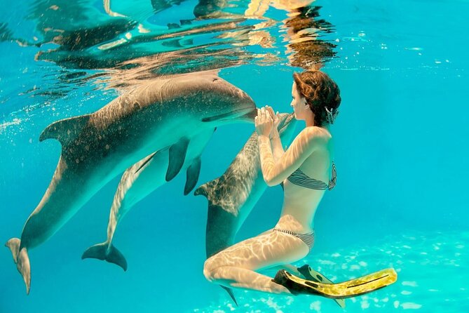 ROYAL Dolphin House & Water Sports Snorkeling Sea Trip - Hurghada - Red Sea Dolphin House: why this day feels worth your time