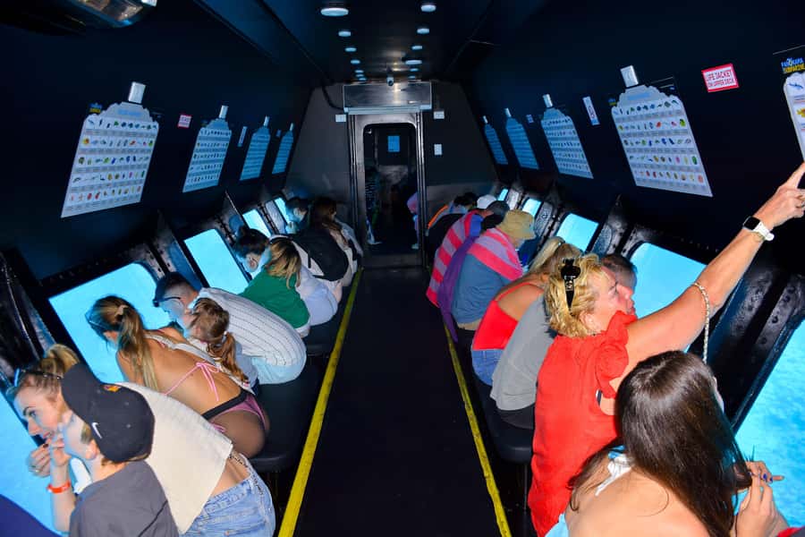 Safaga/Makadi Bay: Panorama Submarine with Snorkeling Tour - Who Should Book This Tour (and Who Should Skip It)
