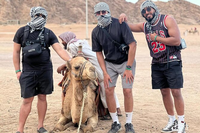 Safari 5 in 1 Quads, Camels, Show, Dinner & Star Gazing in Sharm El Sheikh - Camel ride in a Bedouin village: short, sweet, and guided