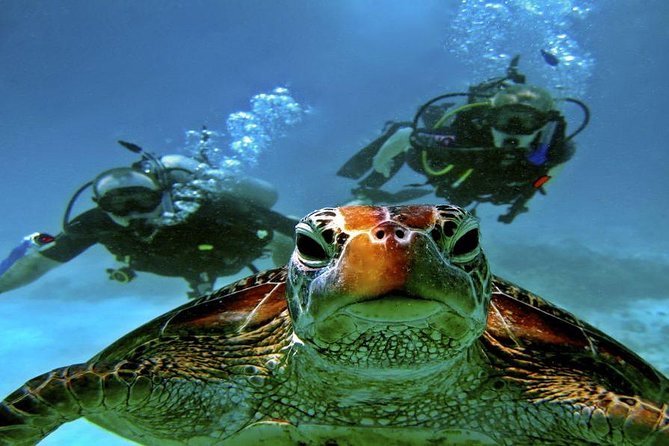 Scuba Diving Full Day Boat Trip for beginners With Lunch & Transfer – Hurghada - Your first beginner-friendly underwater session: what you should expect