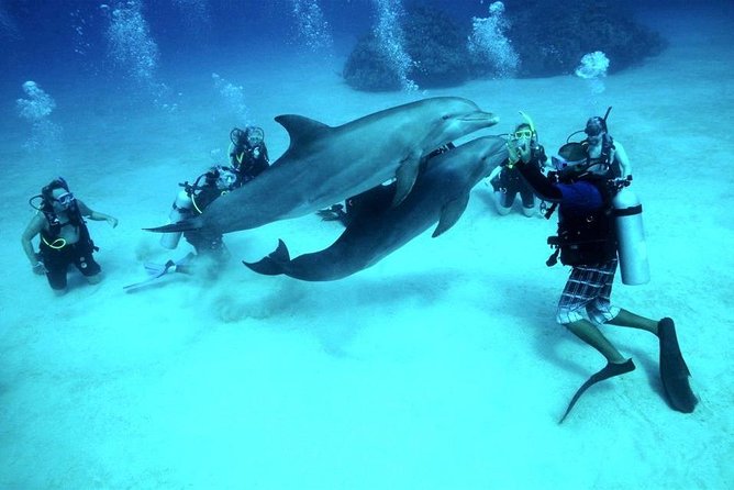 Scuba Diving Full Day Boat Trip for beginners With Lunch & Transfer – Hurghada - Instructor style and safety: names that show up often