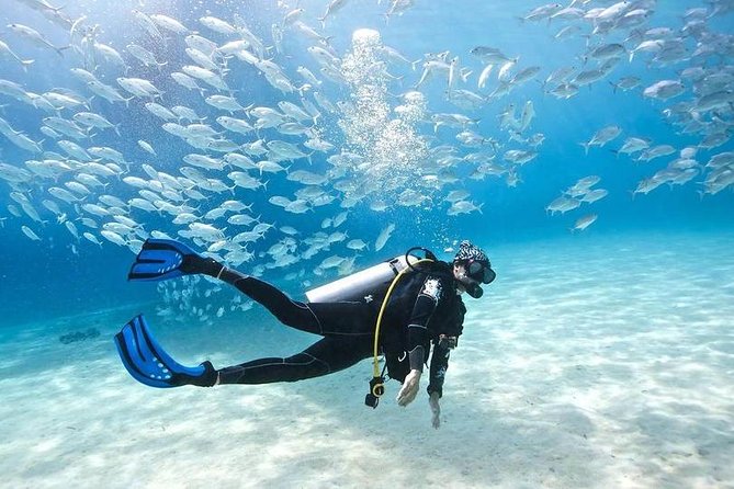 Scuba Diving Full Day Boat Trip for beginners With Lunch & Transfer – Hurghada - Price and logistics: what you truly pay for (and what you add)