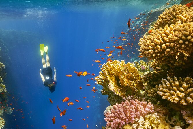 Sharm El Sheikh: Colored Canyon Jeep Tour with Blue Hole & Dahab - Salama/Colored Canyon: the photo-stop that earns its time