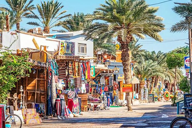 Sharm El Sheikh: Colored Canyon Jeep Tour with Blue Hole & Dahab - Camel ride and quad/ATV options: fun add-ons with mixed reviews