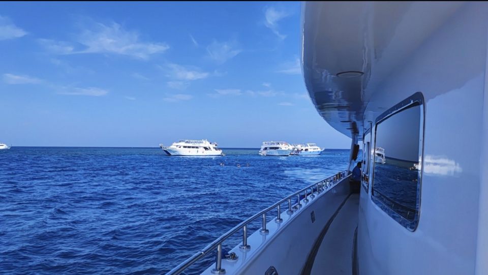 Sharm El-Sheikh: Luxury Ras Mohammed & White Island Cruise - Guides and snorkeling instructors: safety plus confidence