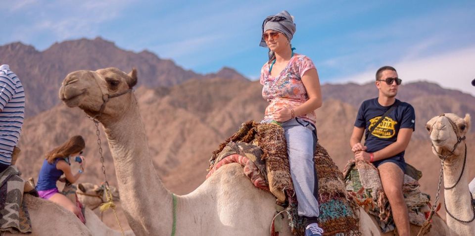 Sharm El Sheikh: Quad bike, Safari, Camel With Dinner & Show - The Photo-Stop Reality: Fun Views or Photo Pressure?