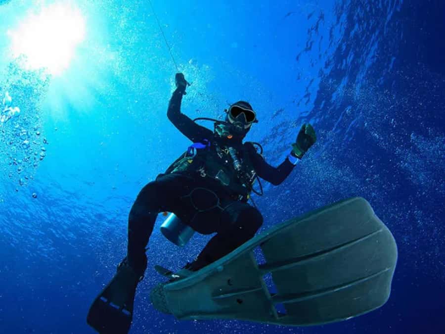 Sharm El Sheikh: Ras Mohamed & White Island Dive & Snorkel - Price and What You Actually Get for $29