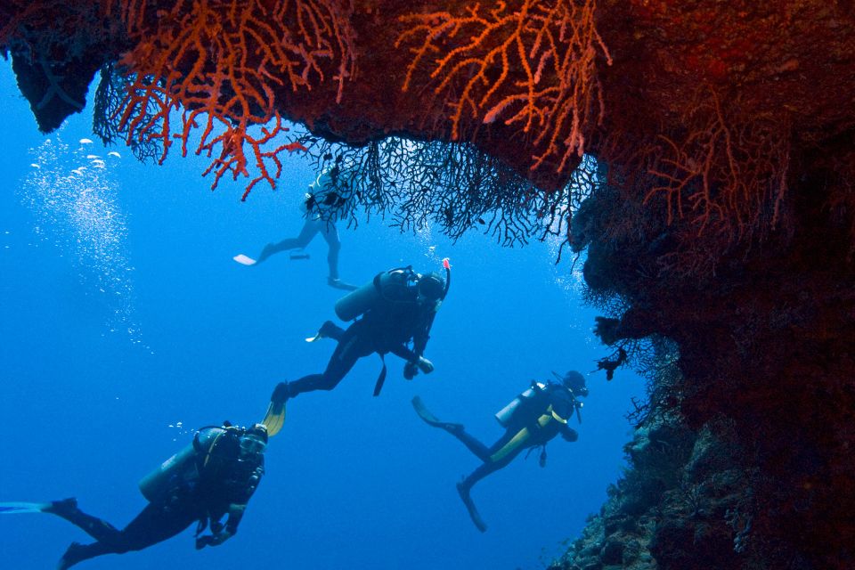 Sharm El-Sheikh: Ras Mohamed & White Island Snorkeling Trip - Key things that make this trip work