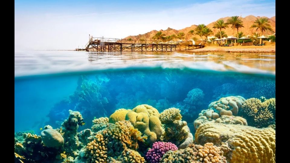 Sharm El-Sheikh: Ras Mohamed & White Island Snorkeling Trip - Comfort on the yacht: bathrooms, showers, and the reality of a long day
