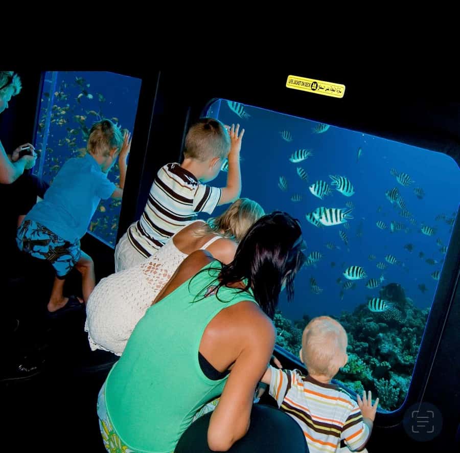 Sharm El-Sheikh: Seascope Submarine boat cruise with pickup - Key things to know before you go