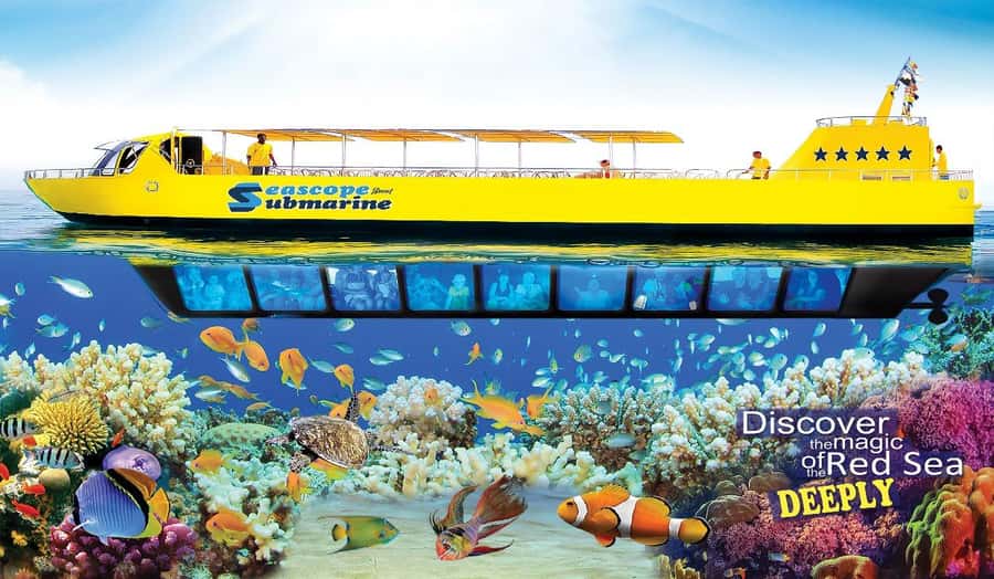 Sharm El-Sheikh: Seascope Submarine boat cruise with pickup - Getting there: hotel pickup, shared bus, and the “45 minutes early” rule