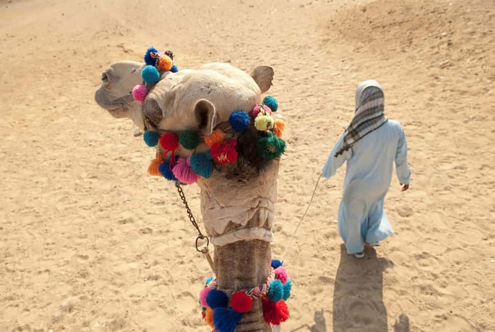 Sharm El-Sheikh: Ultimate ATV Quad, Stargazing & BBQ Dinner - Bedouin BBQ dinner with shows: good food, long night